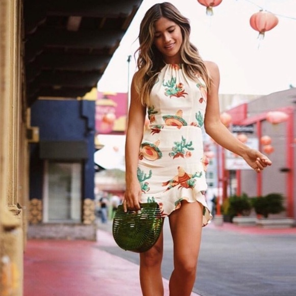 Flynn Skye Dresses & Skirts - Flynn Skye Monica Dress In Cactus 🌵